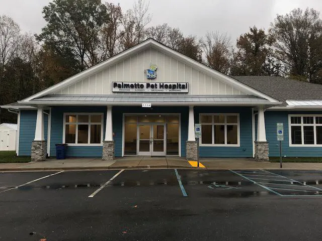 Palmetto Pet Hospital Picture 3