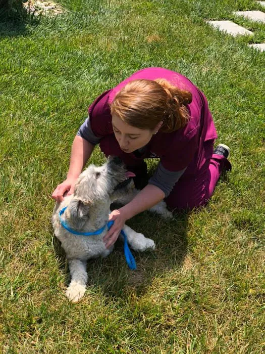 Palmetto Pet Hospital Picture 6