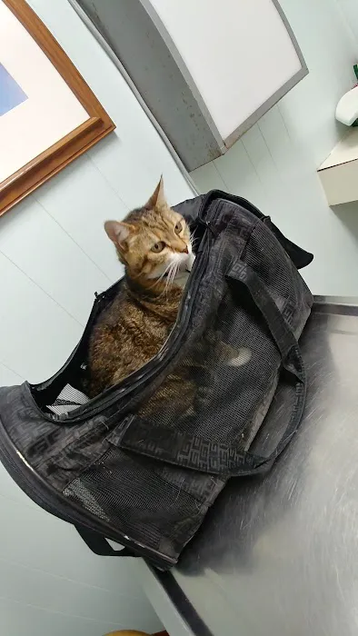 Tega Cay Veterinarian Picture 7