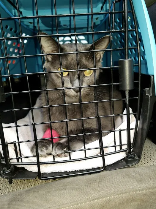 Tega Cay Veterinarian Picture 2