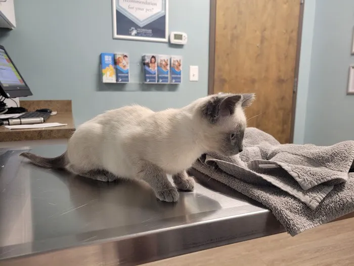 Veterinary Medical Center of Fort Mill Picture 1