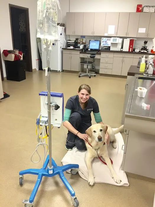 Veterinary Medical Center of Fort Mill Picture 5