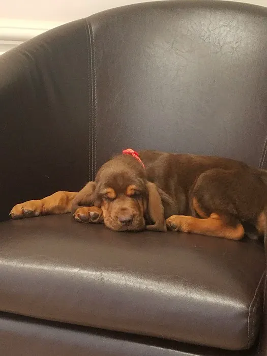 Baxter Veterinary Clinic Picture 5