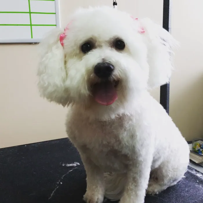 Baxter Veterinary Clinic Picture 6