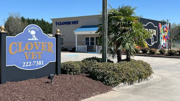 Clover Vet Picture 6