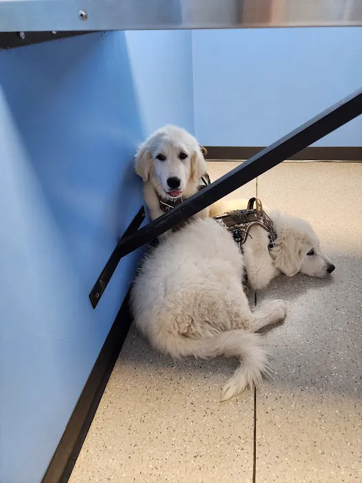 Clover Vet Picture 9