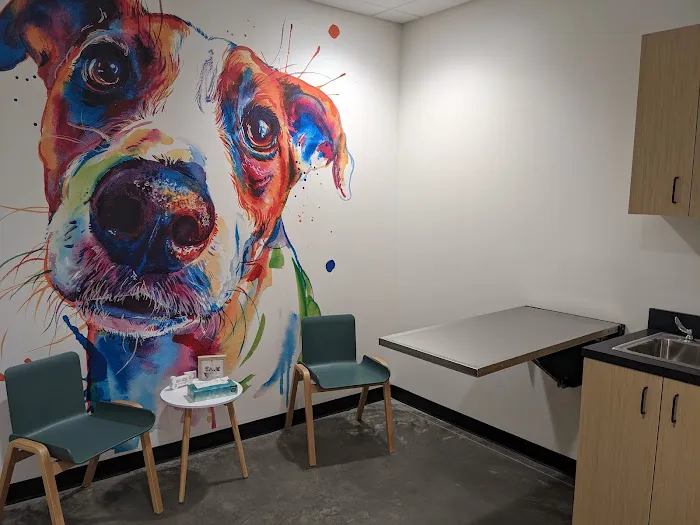 Greenway Animal Hospital Picture 6