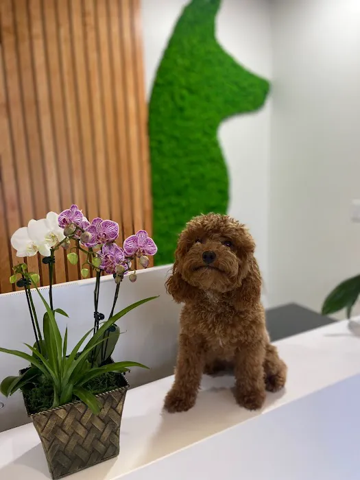 Greenway Animal Hospital Picture 5