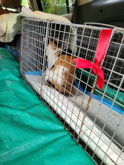 SnipWell Spay Neuter & Wellness Clinic Picture 3