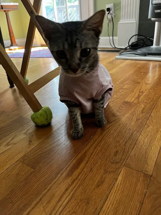SnipWell Spay Neuter & Wellness Clinic Picture 7