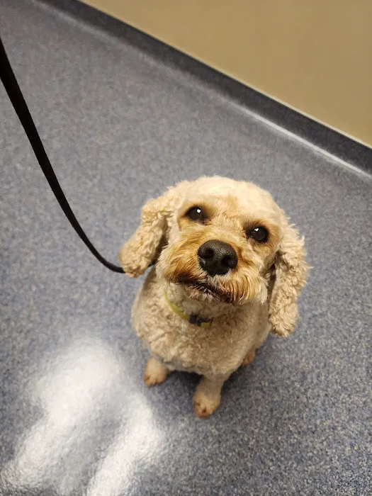Sharon Lakes Animal Hospital Picture 1