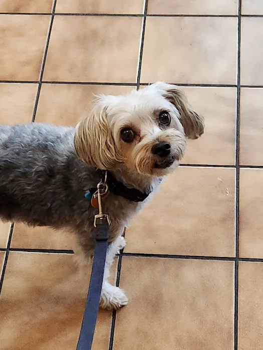 Sharon Lakes Animal Hospital Picture 8
