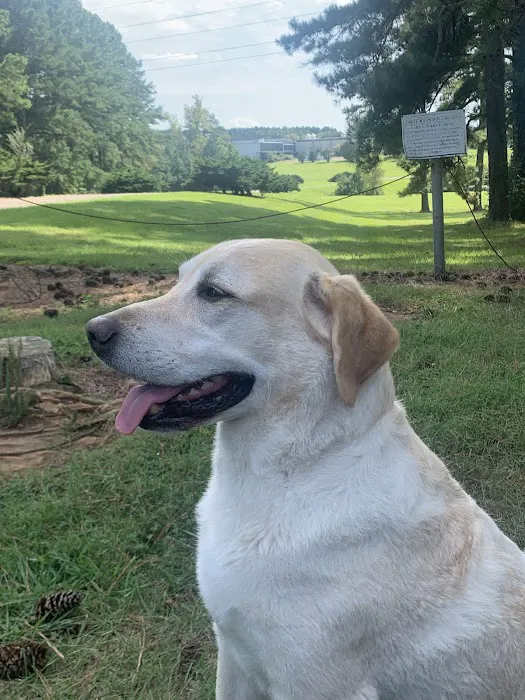 Sharon Lakes Animal Hospital Picture 10