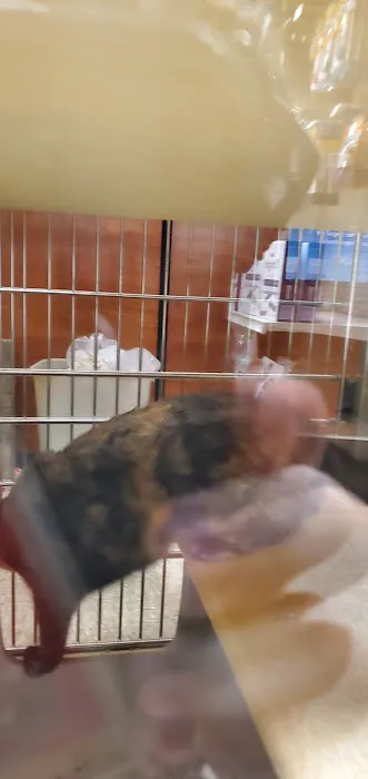 Banfield Pet Hospital Picture 7