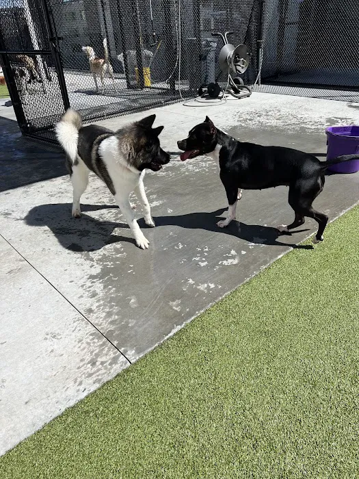 Banfield Pet Hospital Picture 10