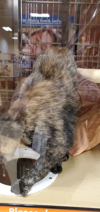Banfield Pet Hospital Picture 9