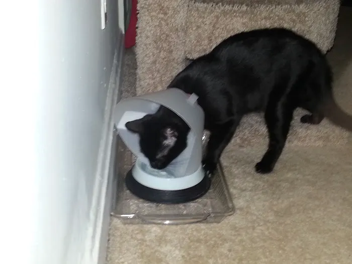 Stand For Animals Veterinary Clinic Picture 5