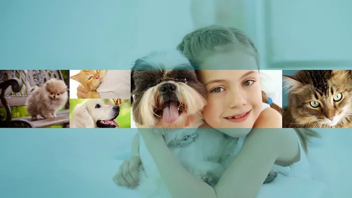 Stand For Animals Veterinary Clinic Picture 8