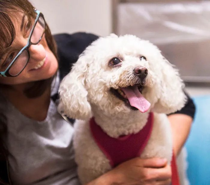 Livewell Animal Hospital of Elizabeth Picture 4