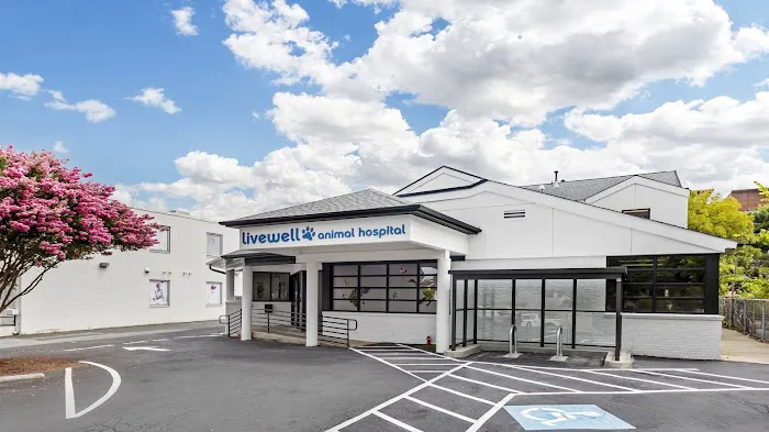 Livewell Animal Hospital of Elizabeth Picture 3