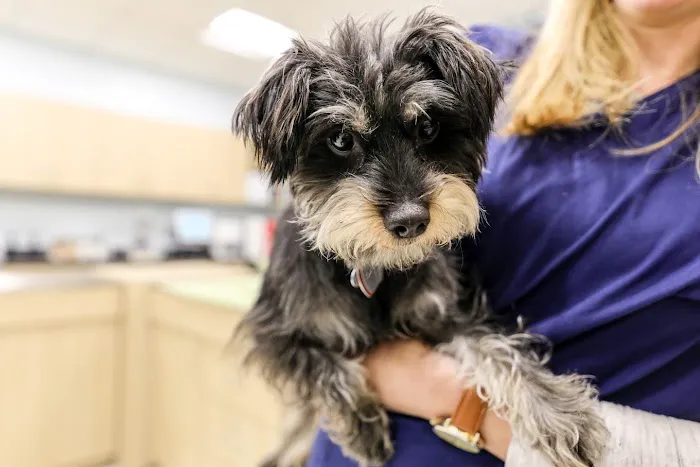 Livewell Animal Hospital of Elizabeth Picture 2