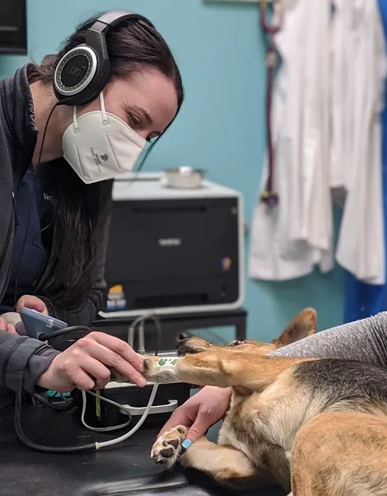 Livewell Animal Hospital of Elizabeth Picture 7
