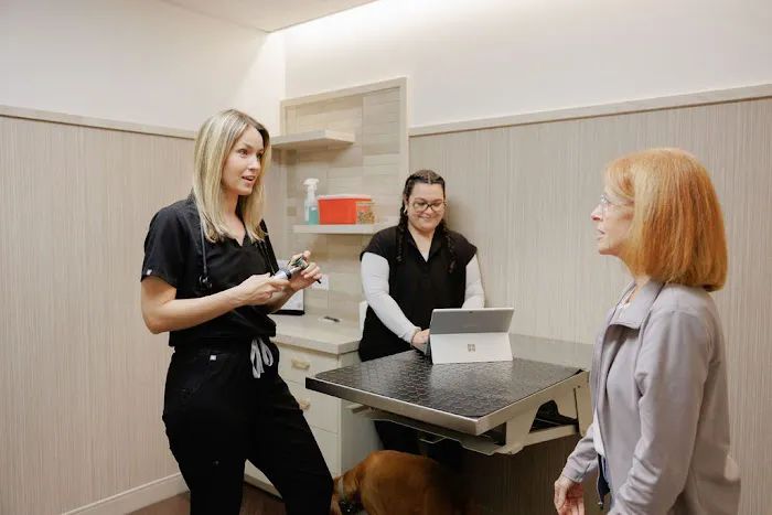 GoodVets Myers Park Picture 1