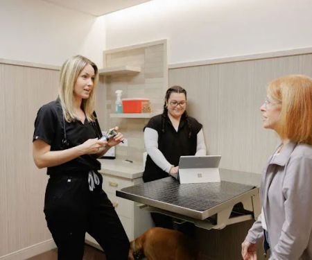 GoodVets Myers Park