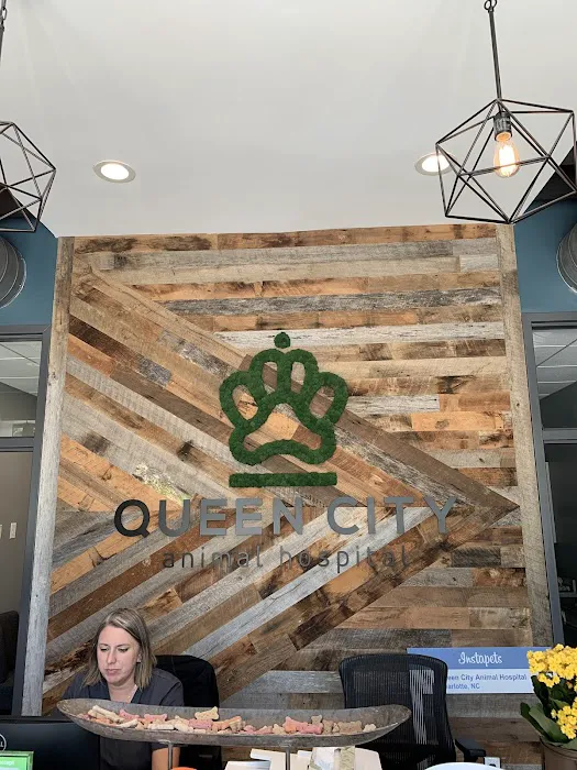Queen City Animal Hospital Picture 1