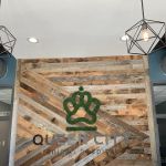 Queen City Animal Hospital