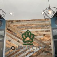 Queen City Animal Hospital ico