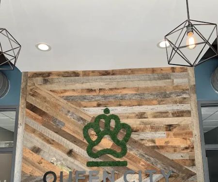 Queen City Animal Hospital