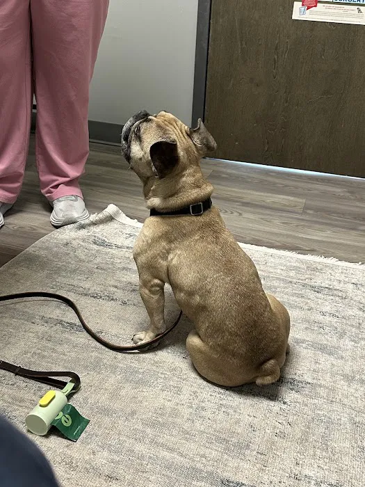Queen City Animal Hospital Picture 5