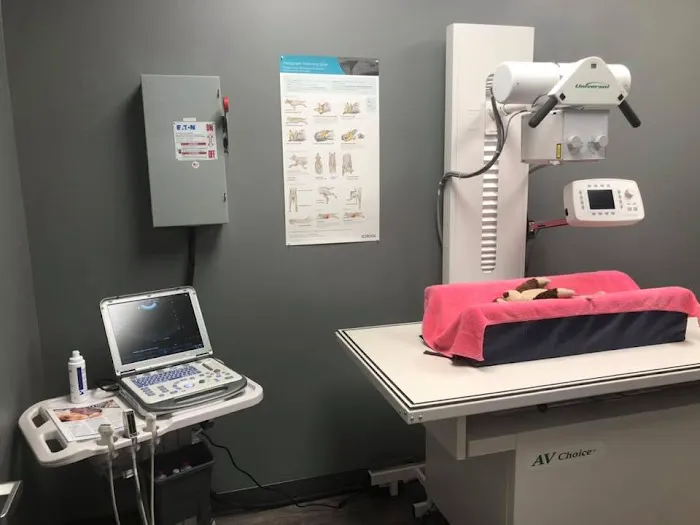 Queen City Animal Hospital Picture 3