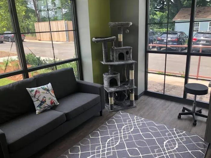 Queen City Animal Hospital Picture 8
