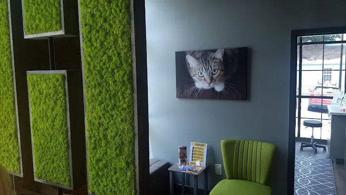 Queen City Animal Hospital Picture 4