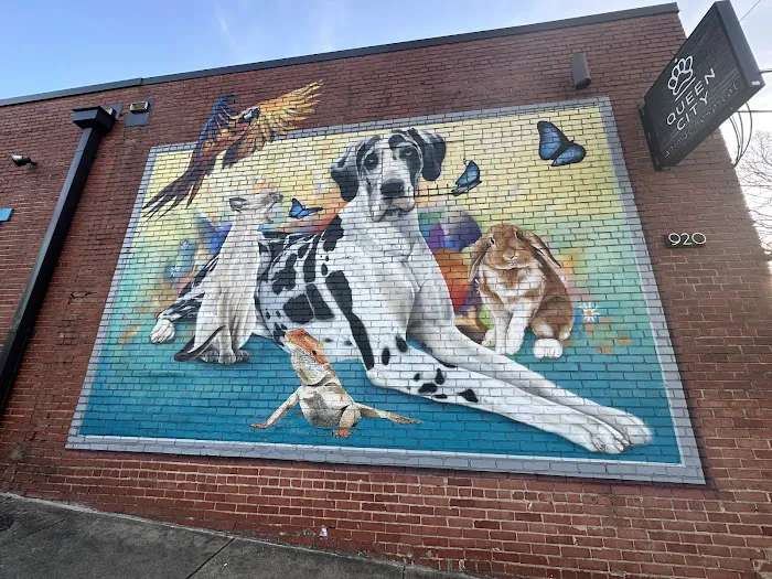 Queen City Animal Hospital Picture 2