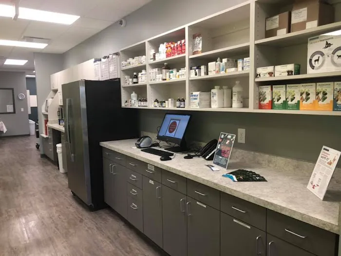Queen City Animal Hospital Picture 10