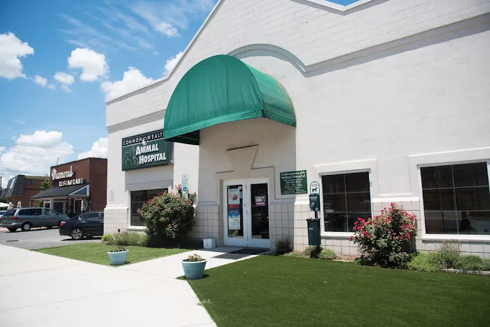 Commonwealth Animal Hospital Picture 5