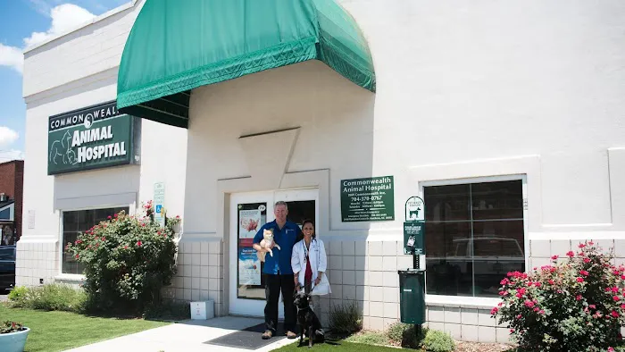 Commonwealth Animal Hospital Picture 4