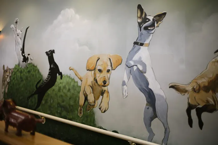 Commonwealth Animal Hospital Picture 2