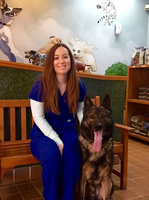 Commonwealth Animal Hospital Picture 7