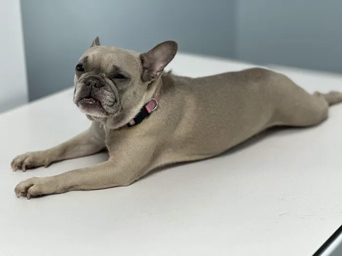 Park Road Animal Hospital Picture 7