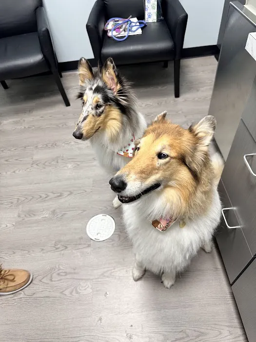Park Road Animal Hospital Picture 8