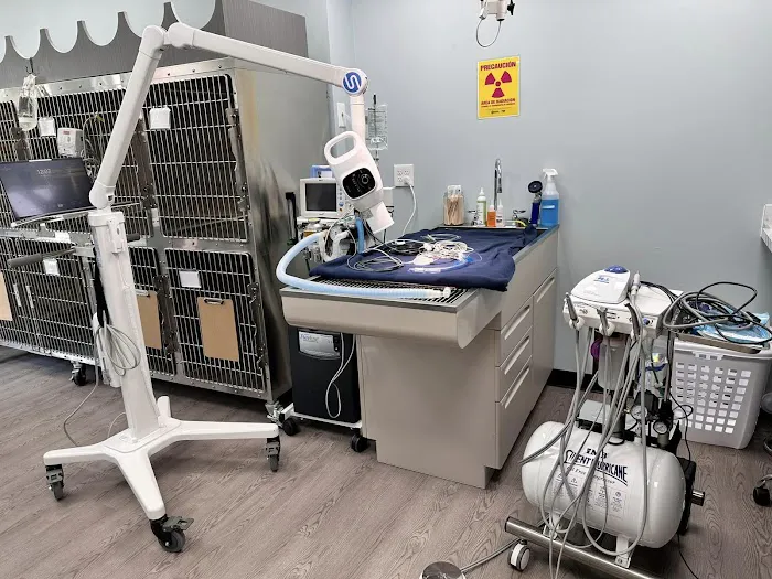 Park Road Animal Hospital Picture 4