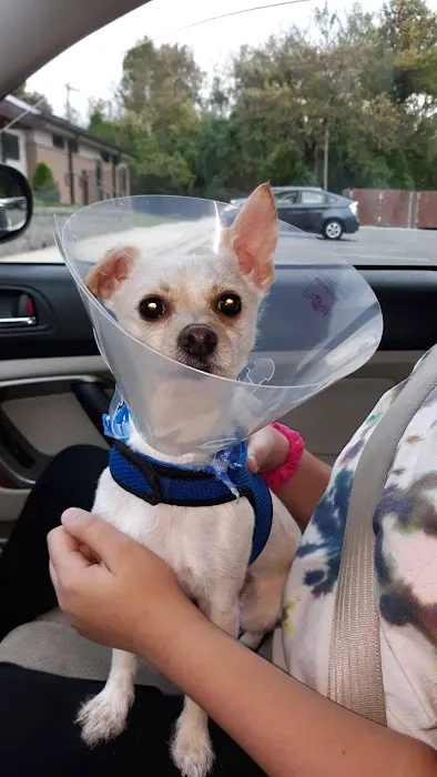 SouthPark Animal Hospital Picture 5