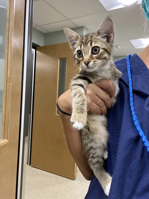 SouthPark Animal Hospital Picture 2