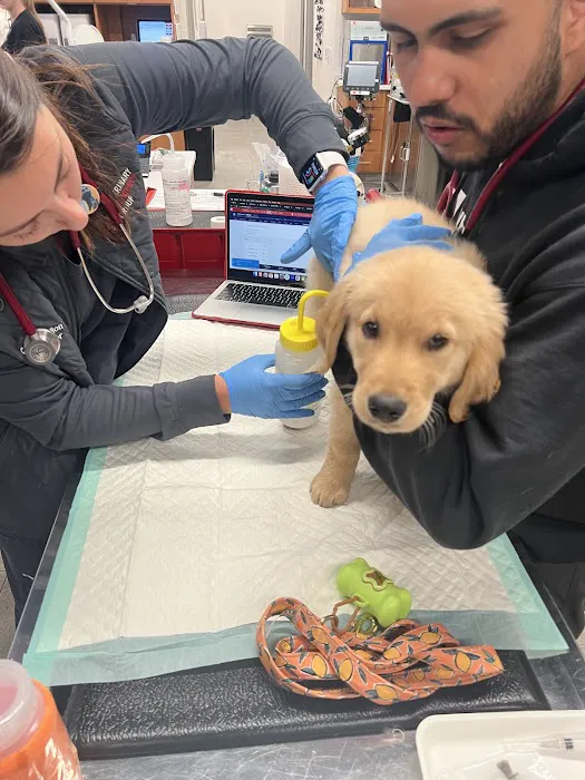 Veterinary Emergency Group Picture 2