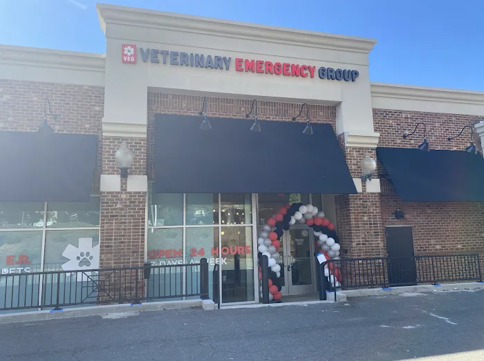 Veterinary Emergency Group Picture 6