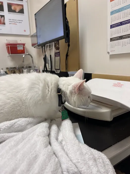 Banfield Pet Hospital Picture 4